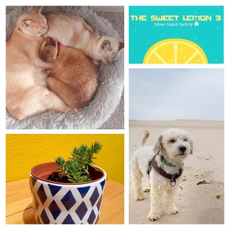 The Sweet Lemon 3 * Bombarral
