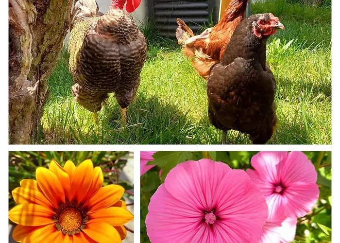 아파트 The Sweet Lemon 3 *